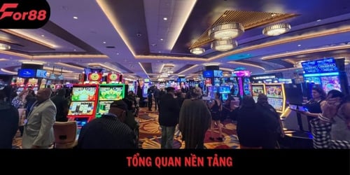 toÌng-quan-neÌn-taÌng-sIeYmIrtRT.jpg