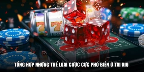 tong-hop-nhung-the-loai-cuoc-cuc-pho-bien-o-tai-xiu-xOqaQcFnig.jpg