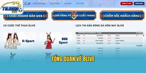 tong-quan-8live-3lduMaU6pX.jpg