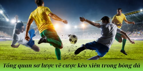 tong-quan-so-luoc-ve-cuoc-keo-xien-trong-bong-da-aXxnyI8C7K.png