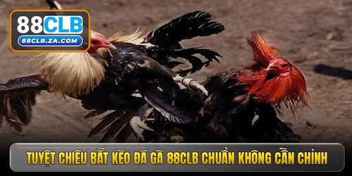 tuyet-chieu-bat-keo-da-ga-88clb-chuan-khong-can-chinh-iqIDrOFJJ_.jpg