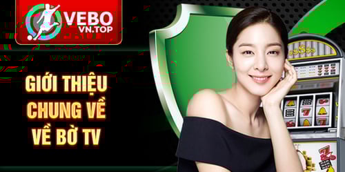 ve-bo-tv-6zr2nU58g8.png