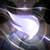 profile or pet icon