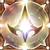 profile or pet icon
