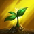 profile or pet icon