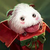 profile or pet icon