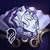 profile or pet icon