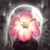 profile or pet icon