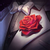 profile or pet icon
