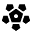 trait image