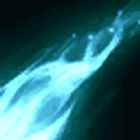 champion's skill