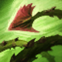 champion's skill