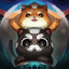 champion's skill