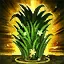 champion's skill