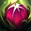 champion's skill
