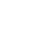 Brawler image