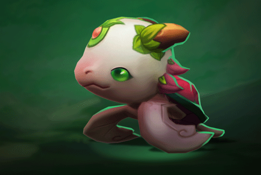 Rùa Hoa Hồng image