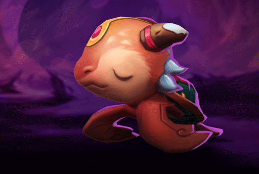 Rùa Lễ Hội image